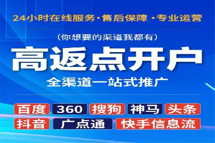 百度竞价广告投放全解析：成功案例揭秘